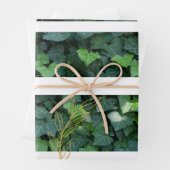 ツタのギフトラップ ラッピングペーパーシート (インサイチュ)