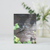 ツタの壁の灰色のトカゲ ポストカード (スタンド正面)