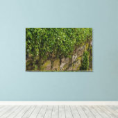 ツタの壁 キャンバスプリント (インサイチュ (ウッドフロア))