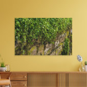 ツタの壁 キャンバスプリント (インサイチュ (リビング))
