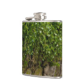 ツタの壁 フラスク (左)