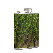 ツタの壁 フラスク (右)