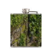 ツタの壁 フラスク (裏面)