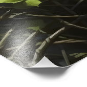 ツタの女 フォトプリント            (角)