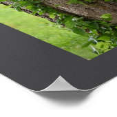 ツタの木のポスター ポスター (角)