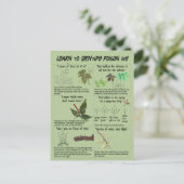 ツタの植物を識別する方法 – ハイキング安全 ポストカード (スタンド正面)