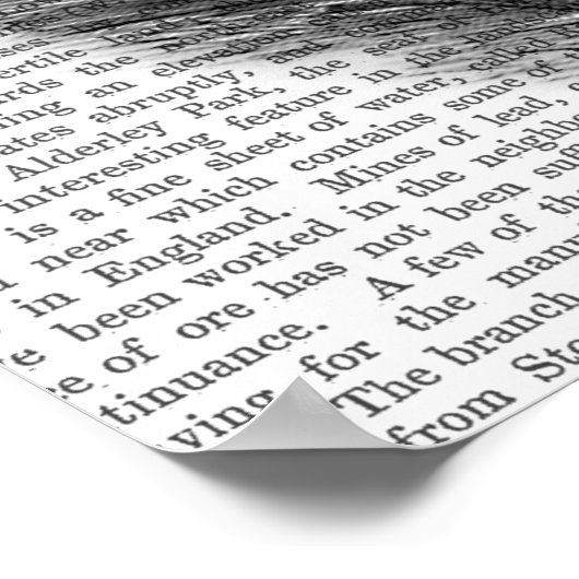 ツタの鉢植え ポスター (角)