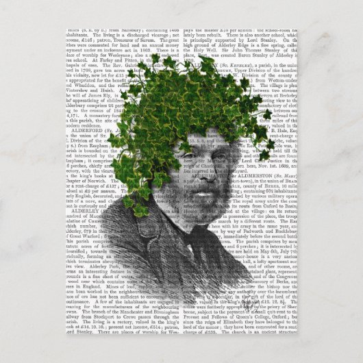 ツタの鉢植え ポストカード (正面)