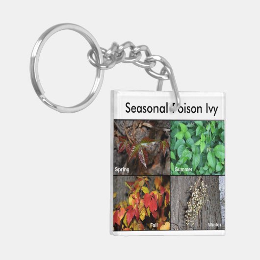 ツタウルシKeychain キーホルダー (正面左)