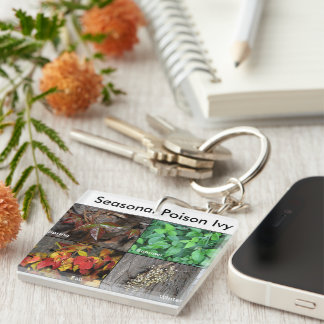 ツタウルシKeychain キーホルダー