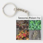 ツタウルシKeychain キーホルダー (正面)