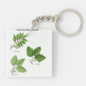 ツタウルシKeychain キーホルダー (裏面)