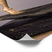 ツタンカームンの墓から来たハーポナー ポスター (角)