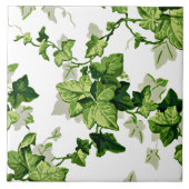 ツタ葉 タイル (正面)