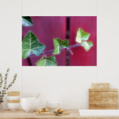 ツタ葉 ポスター (キッチン)