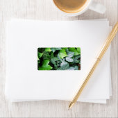 ツタ葉 ラベル (インサイチュ)