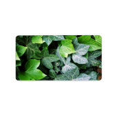 ツタ葉 ラベル (正面)