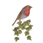 ツタ飾とロビンのクリスマスツリー ブラッシュドポリエステルツリースカート