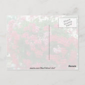 ツタ・ゼラニウム（ペラゴニウム・ペラタウム）花 ポストカード (裏面)