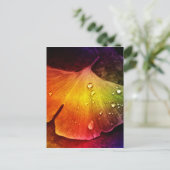 ツッティ数々のが彩色したイチョウの葉 ポストカード (スタンド正面)