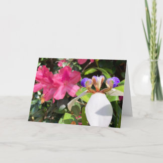 「ツツジと歩く・アイリス」 グリーティングカード サンキューカード