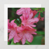ツツジのブッシュの招待状 招待状 (正面/裏面)