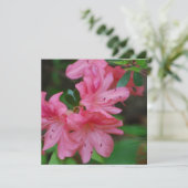 ツツジのブッシュの招待状 招待状 (スタンド正面)