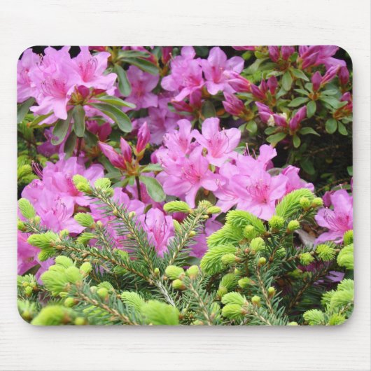 ツツジの花のマウスパッドの松の木のマウスパッド マウスパッド (正面)