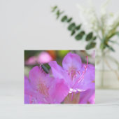 ツツジの花の昆虫 ポストカード (スタンド正面)
