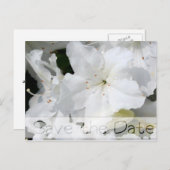 ツツジフローラ結婚式の日付はがきを保存2 案内ポストカード (正面/裏面)