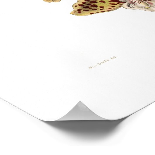 ツツジ病 ポスター (角)