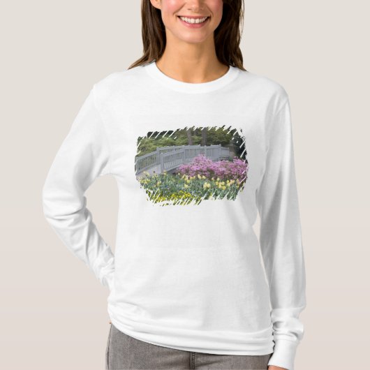 ツツジ・ヒース科 (Ericaceae)、チューリップと Tシャツ (正面)