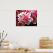 ツツジ#3 ポスター (キッチン)