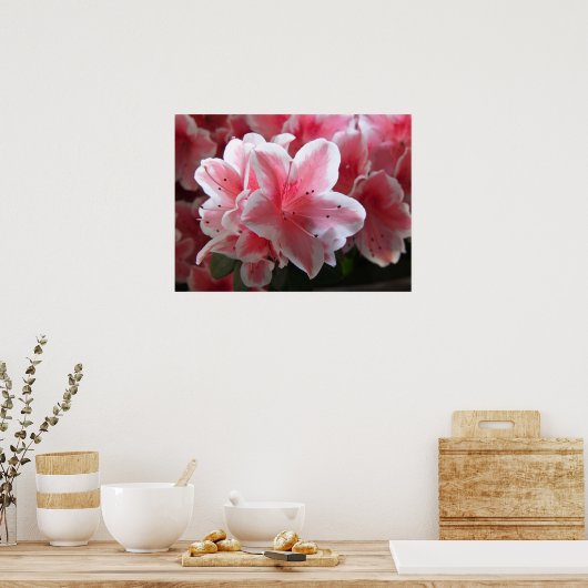 ツツジ#3 ポスター (キッチン)