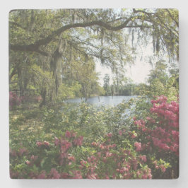 ツツジ、Airlieの庭 ストーンコースター