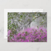 ツツツジとモクレンの木のデジタル複合体 ポストカード (正面/裏面)