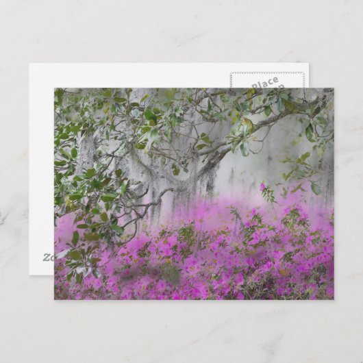 ツツツジとモクレンの木のデジタル複合体 ポストカード (正面/裏面)