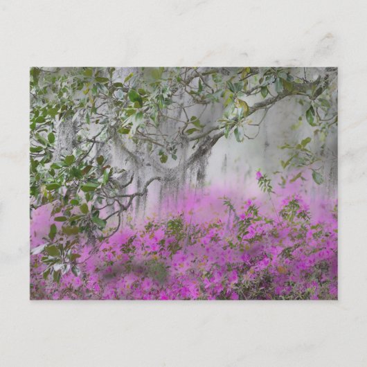 ツツツジとモクレンの木のデジタル複合体 ポストカード (正面)