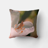 ツツツジの白い花の小さなキリギリス クッション (裏面)