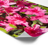 ツツツジの花（ピンク） ポスター (角)