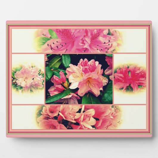 ツツツジ1950年のスタイル フォトプラーク (正面)