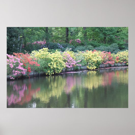 ツツツジ ポスター (正面)