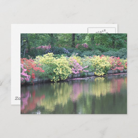 ツツツジ ポストカード (正面/裏面)