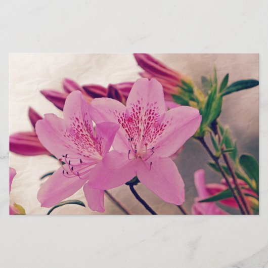 ツツツジ 便箋 (正面)