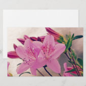 ツツツジ 便箋 (正面/裏面)