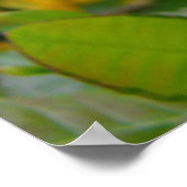 ツツツツジ10イエローツツジ花アートプリントポスター ポスター (角)