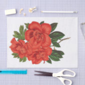 ツツツツジ(インディカ)グランド公爵夫人 薄葉紙 (クラフト)