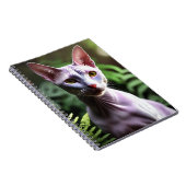 ツナ 抜け毛のスフィンクス猫, ノートブック (右側)