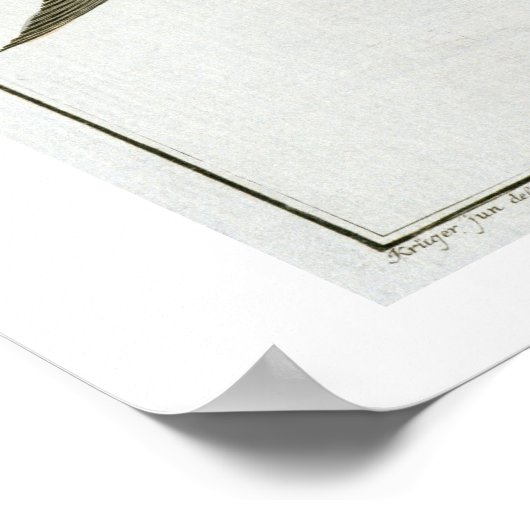 ツナ(Scomber Thynnus)プレートLV from 'Ichthyologie ポスター (角)