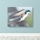 ツノグミのストレッチ キャンバスプリント (インサイチュ (ウッドフロア))